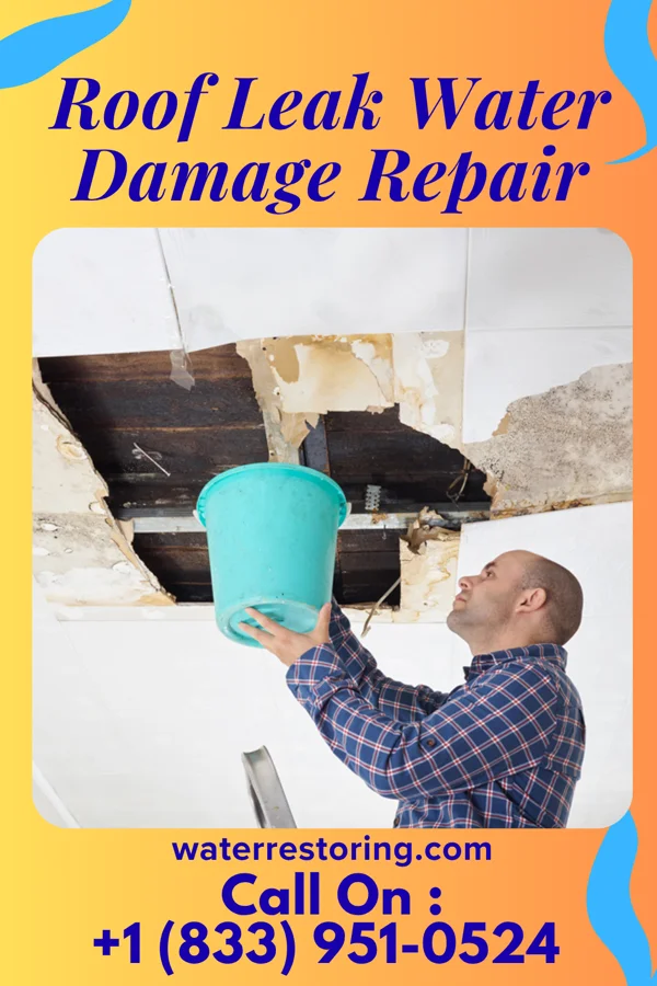 Roof Leak Water Damage Repair in Buena Vista, CA